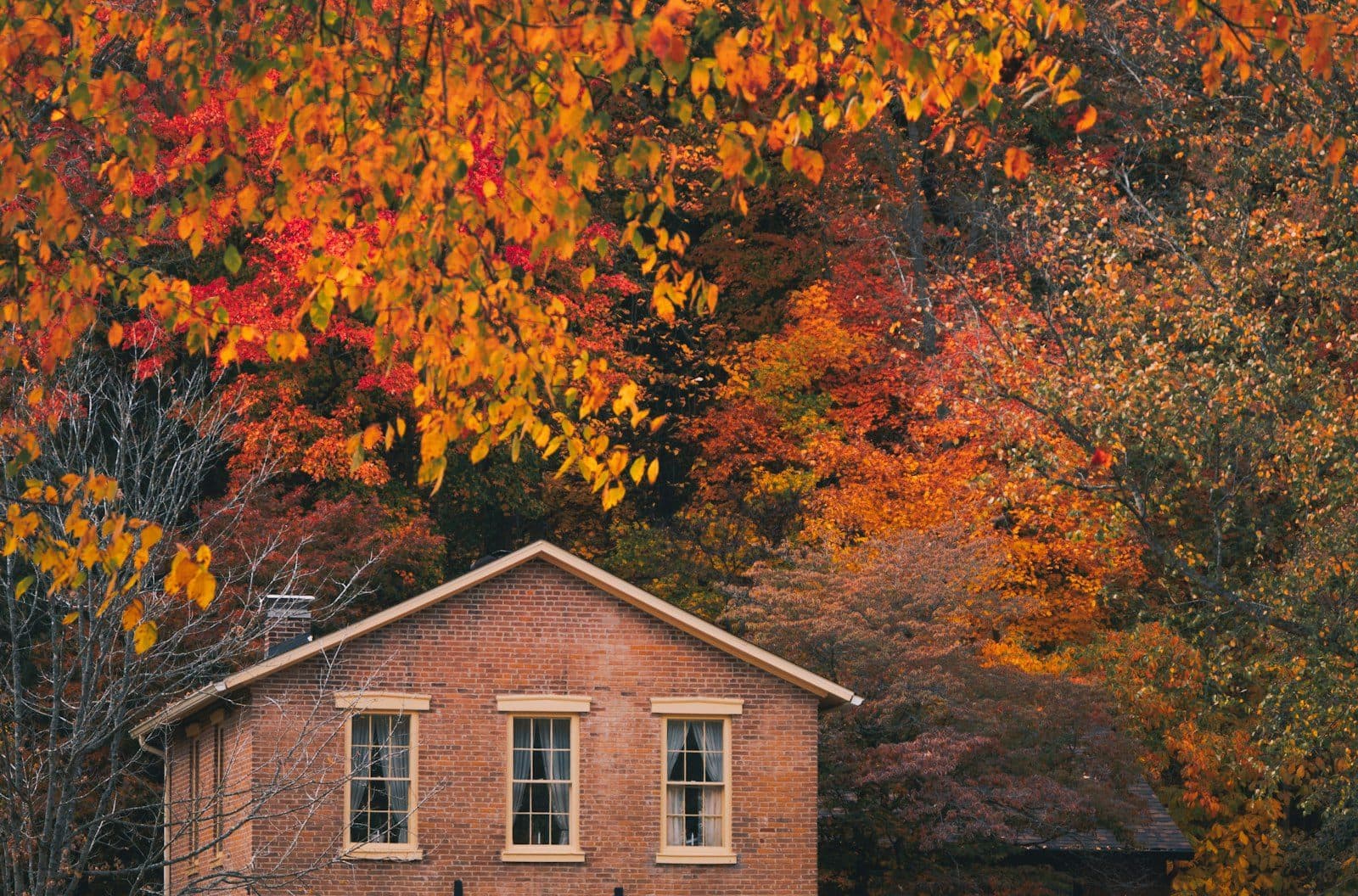 A brick house with upper windows among fall leaves